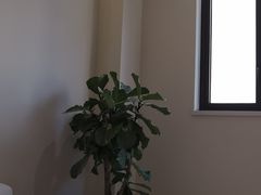 -观心实验室·心理咨询(上海旗舰店)