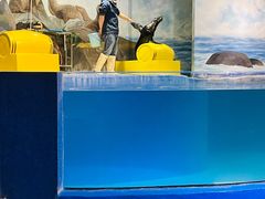 -梦幻海洋王国(吾悦广场张家港店)