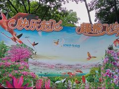 -广州长隆飞鸟乐园