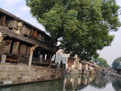 -乌镇东栅景区