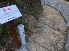 -羚羊峡古栈道森林公园