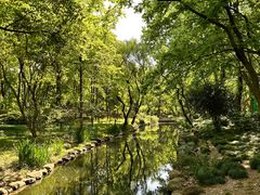 -上海共青森林公园