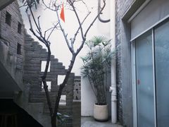 -青莯_Percher Coffee Shop(皮市街店)