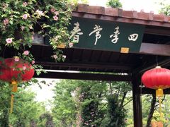 -鹅湖玫瑰文化园