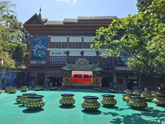 -西双版纳原始森林公园