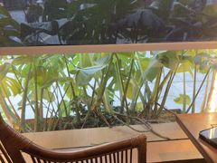 -良木缘咖啡西餐(川大店)
