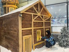 -世界之窗阿尔卑斯冰雪世界