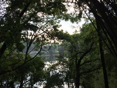 -火炉山森林公园