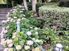 -常州古运河南大街文化旅游区-人民公园