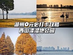 -西山漾湿地公园