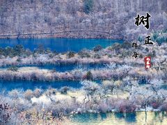 -九寨沟风景区