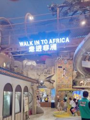 -卡通尼·Safari非洲探索乐园·生日会(金桥国际商业广场店)