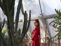 -北京植物园-展览温室
