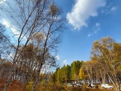 -塞罕坝国家级自然保护区