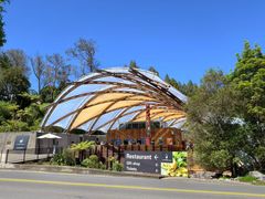 -怀托摩萤火虫洞