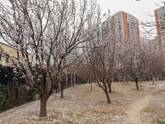 -太阳宫公园