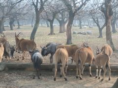 -西安秦岭野生动物园
