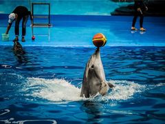 -石林冰雪海洋世界