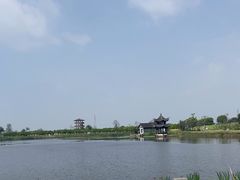 -杭州湾海上花田景区