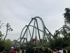 -飞天翼龙