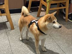 -宠颐生宠物医院·犬猫全科·皮肤科(商业街店)