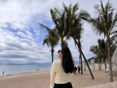 -玫瑰海岸文化旅游度假区