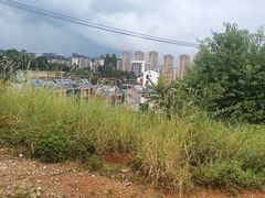 -长虫山生态公园风景林