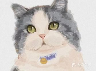 一周之内不要洗澡，对于首年免疫的猫犬
