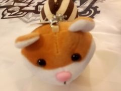 -PAWTOY爪e玩偶店(天兴罗斯福店)