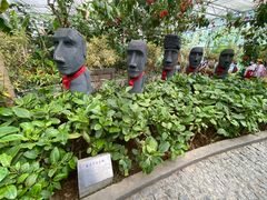 -南宫五洲植物乐园