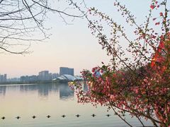 -天鹅湖体育公园