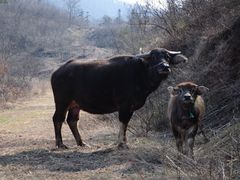 -南京市无想山景区