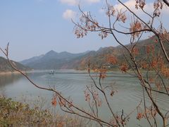 -羚羊峡古栈道森林公园