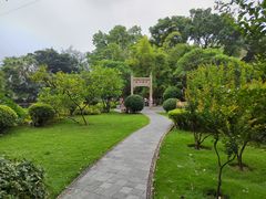 -晓港公园