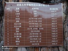 -呀路古热带植物园