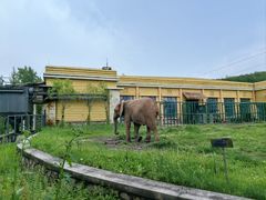 -哈尔滨北方森林动物园