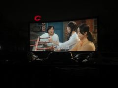 -枫花园汽车电影院(朝阳公园店)