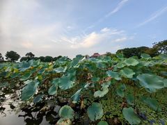 -滆湖低碳生态公园