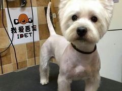 -我爱吾宠宠物美容院(朝阳路店)
