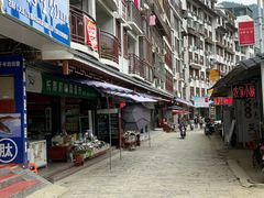 -长寿村