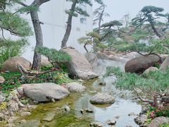 -罗红摄影艺术馆