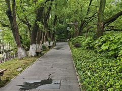 -天目湖山水园