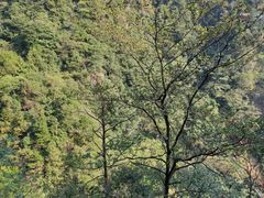 -太湖源风景区