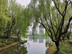 -杭州城北体育公园