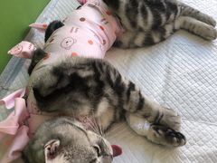 -美迦爱-牙专科·兔科·骨科诊疗中心(北苑店)