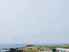 -涉地可支