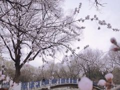 -满都海公园