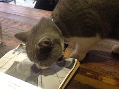 Mikaku-MIKAKU(万达广场上海宝山店)