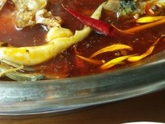 -红牌美蛙鱼头火锅(万辉国际广场店)