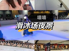 -TheRink大零溜冰场(IFS国金中心店)